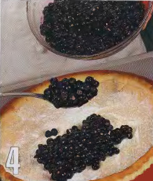 слоеное тесто пирог +с черникой ,бисквитный пирог +с черникой